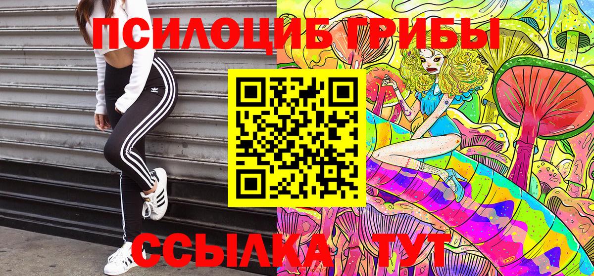 Черемхово  Псилоцибиновые грибы мухоморы  Вход с VPN 