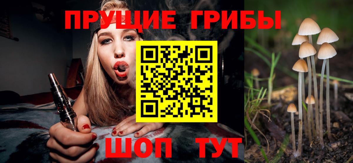 Галлюциногенные грибы мухоморы Черемхово